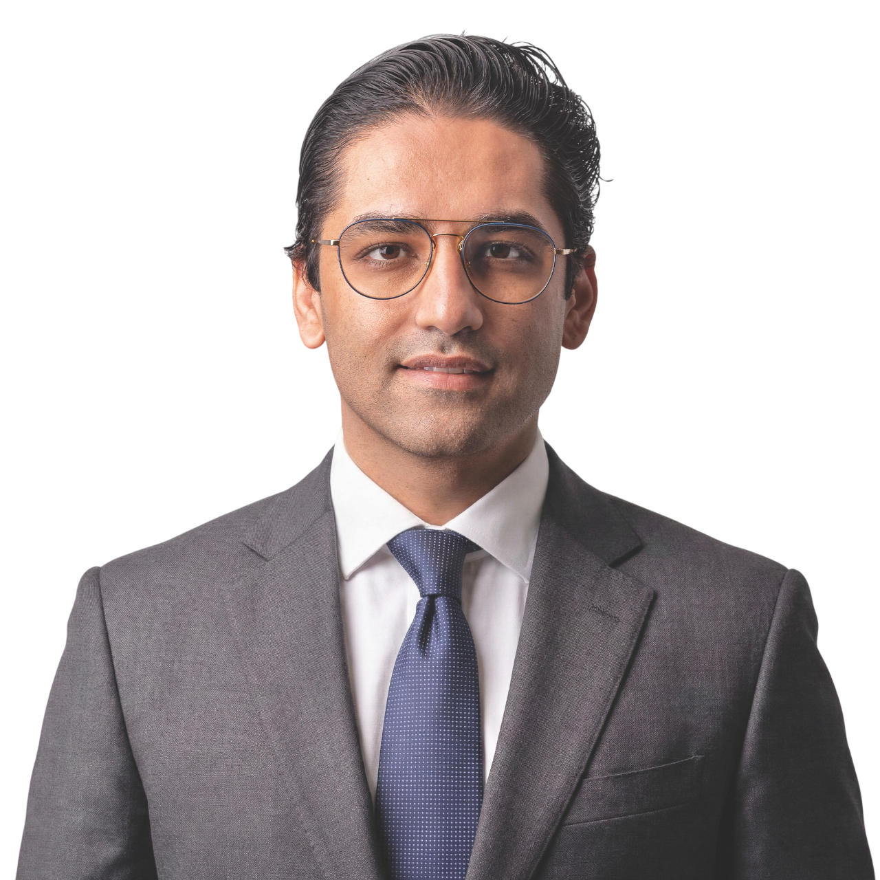 Amir_Vojdani