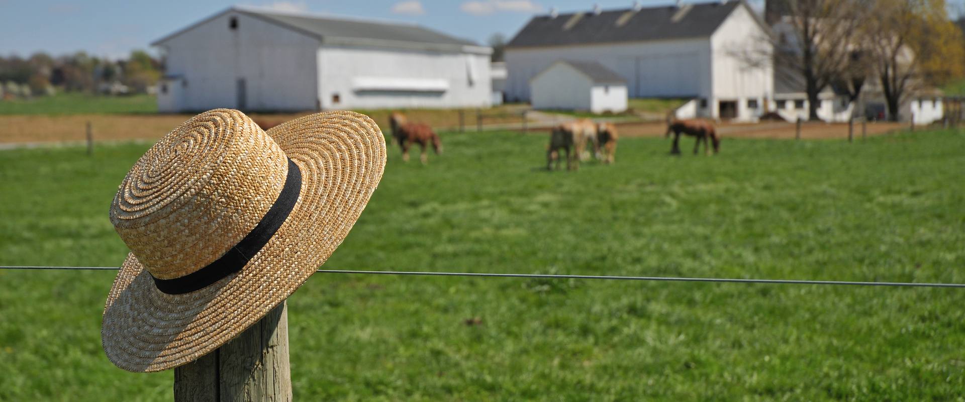 Bigstock Amish Straw Hat On A Pennsylva 64041163